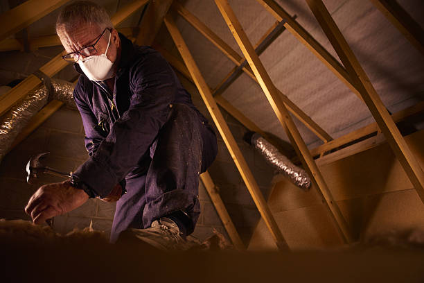 Types of Insulation We Offer in Shongopovi, AZ